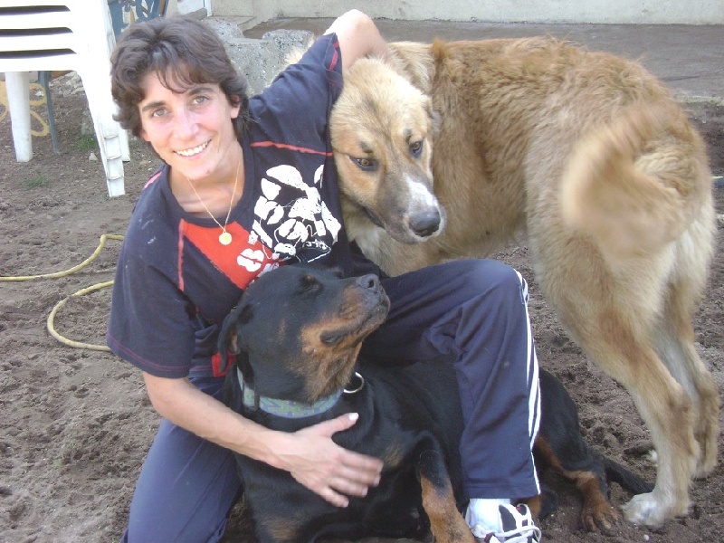 Publication : Des anges gardiens de la grace Auteur : Karen TOUBIANA