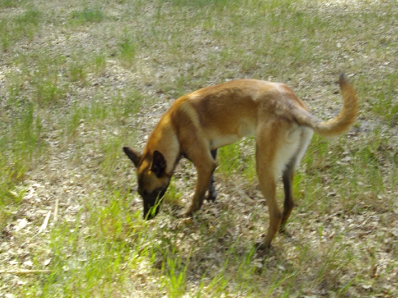 Publication : Des anges gardiens de la grace
