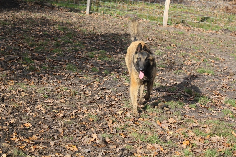 Publication : Des anges gardiens de la grace