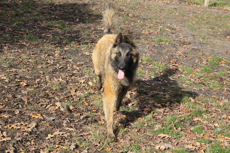 Publication : Des anges gardiens de la grace