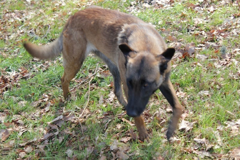 Publication : Des anges gardiens de la grace