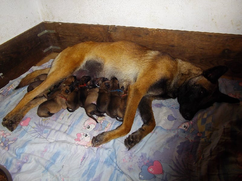 Publication : Des anges gardiens de la grace