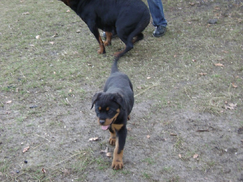 Publication : Des anges gardiens de la grace