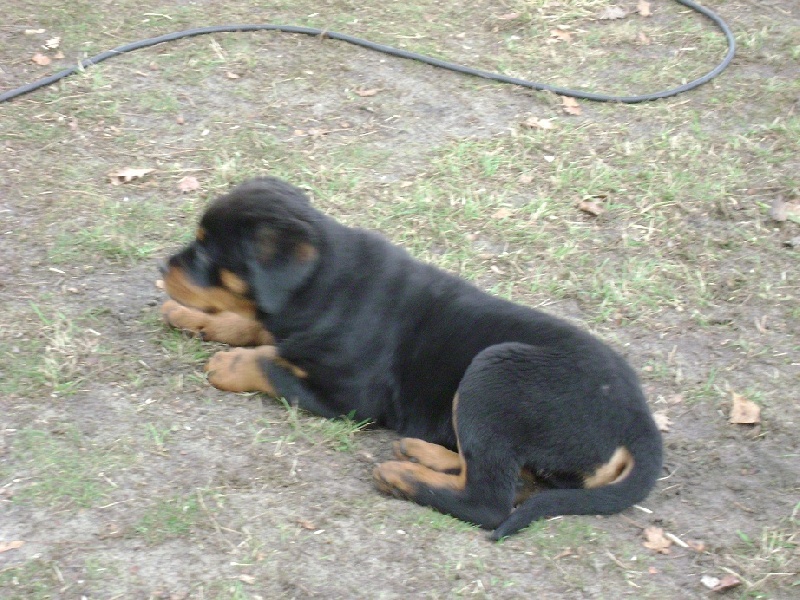 Publication : Des anges gardiens de la grace