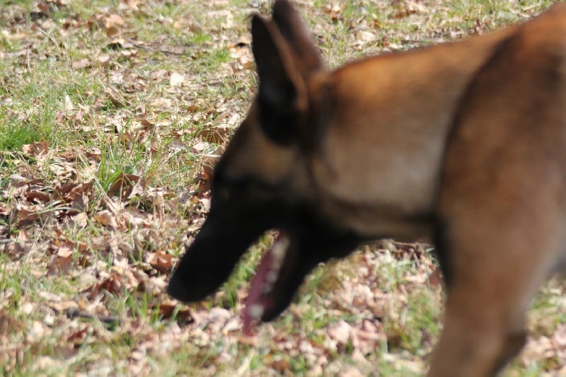 Publication : Des anges gardiens de la grace