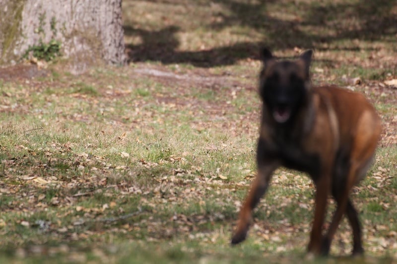 Publication : Des anges gardiens de la grace