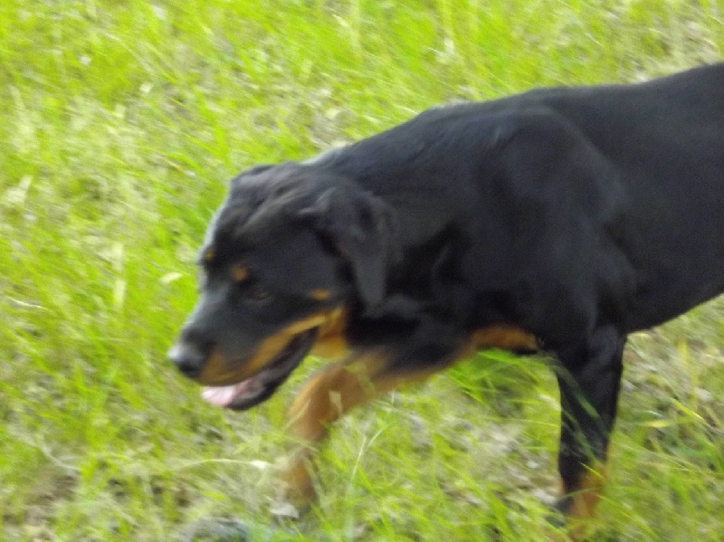 Publication : Des anges gardiens de la grace