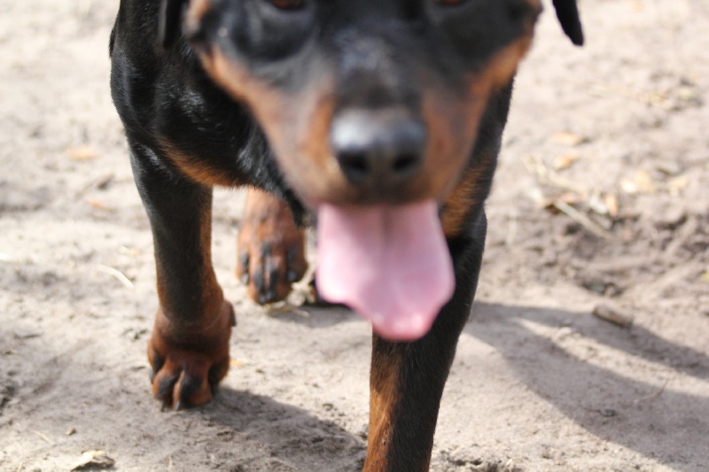 Publication : Des anges gardiens de la grace