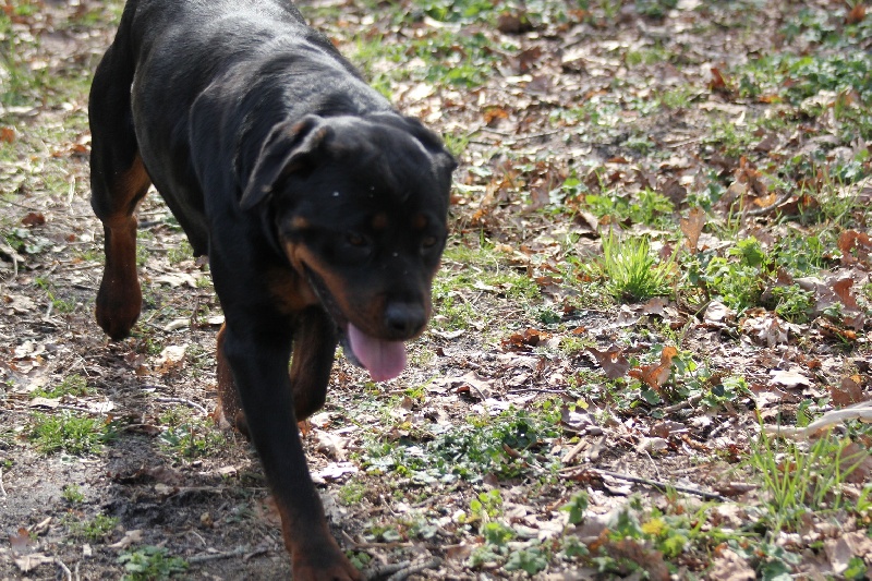 Publication : Des anges gardiens de la grace