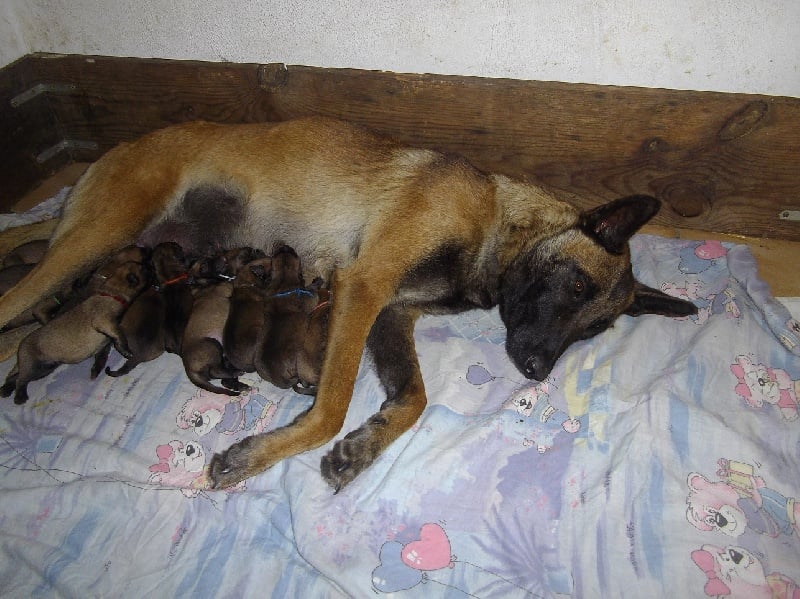 Publication : Des anges gardiens de la grace