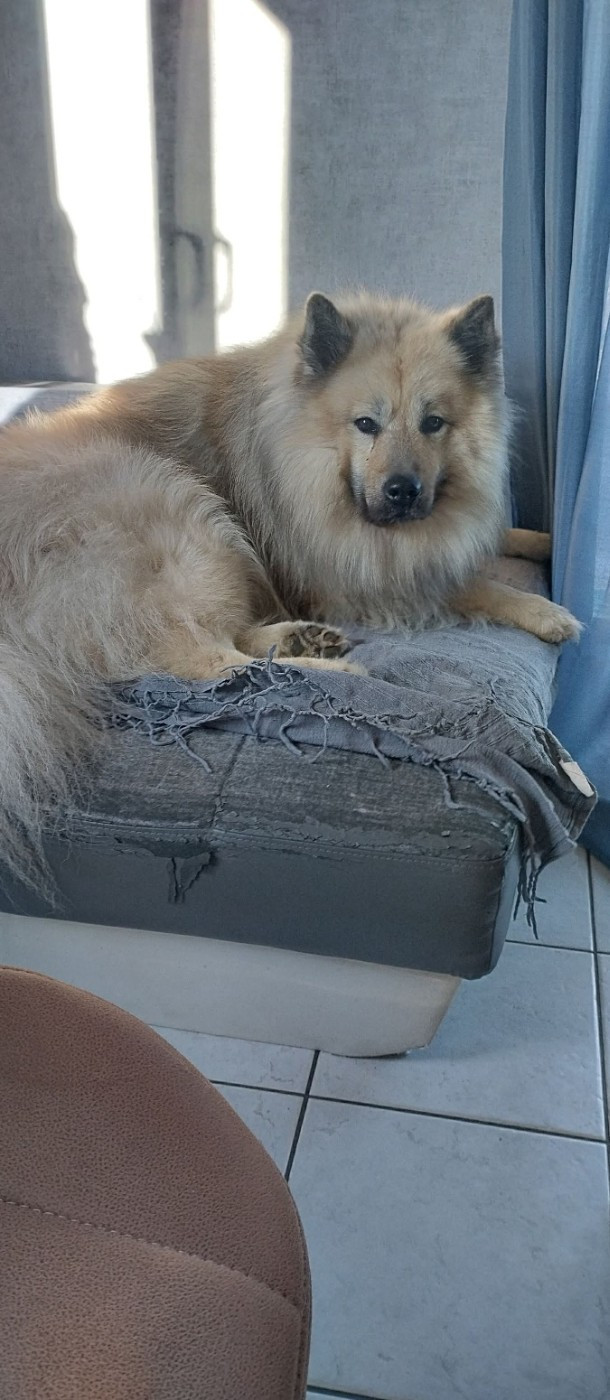 Osko Du Royaume Des Etangs