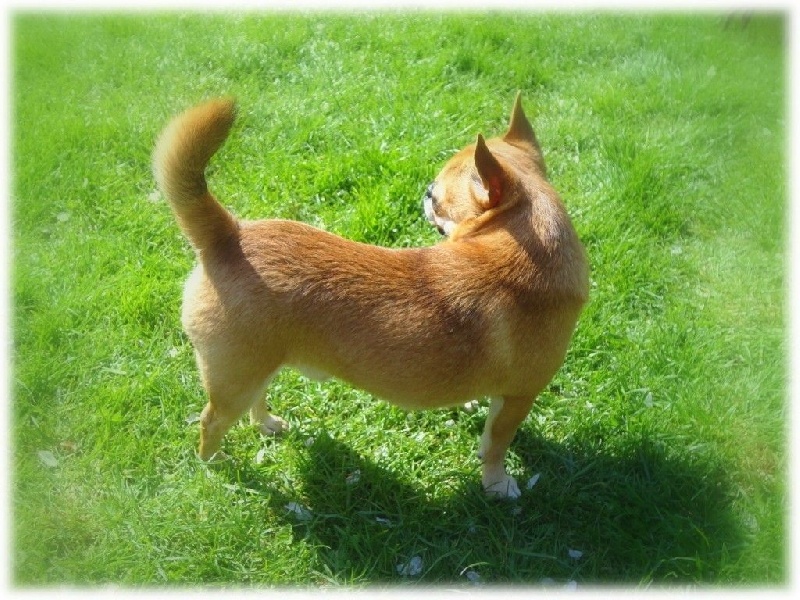 Publication : De L'Eden Angel