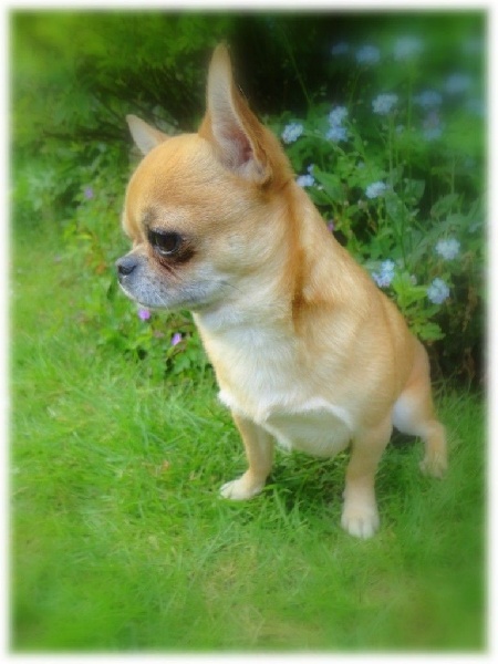 Publication : De L'Eden Angel