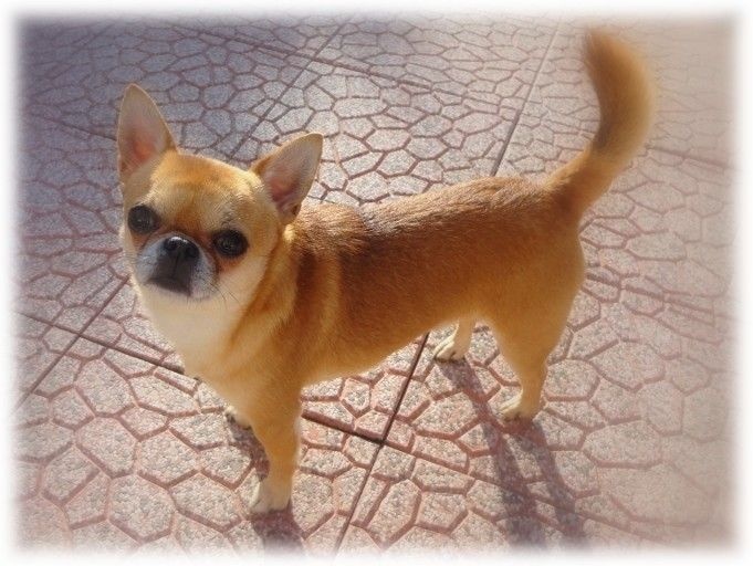 Publication : De L'Eden Angel