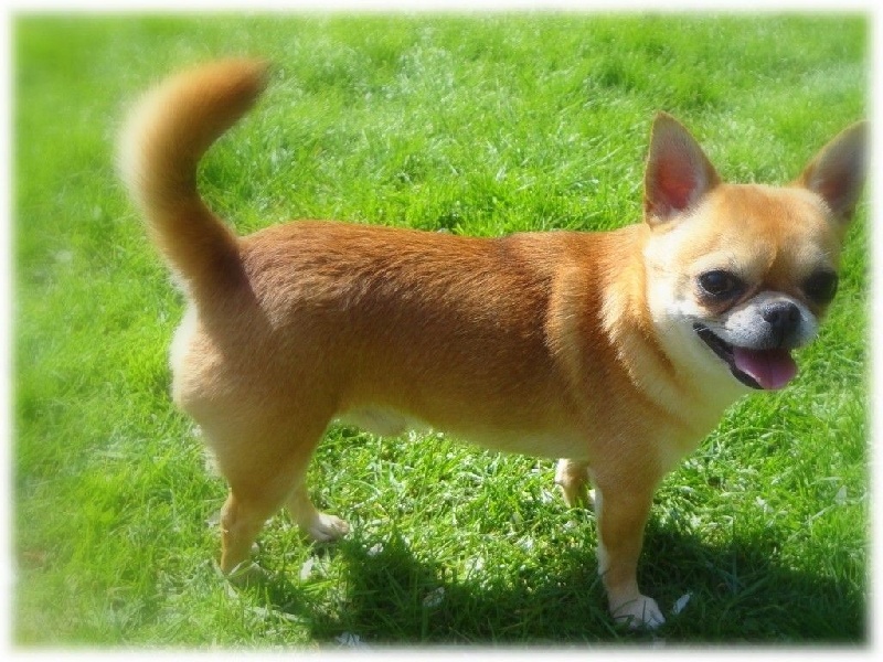 Publication : De L'Eden Angel