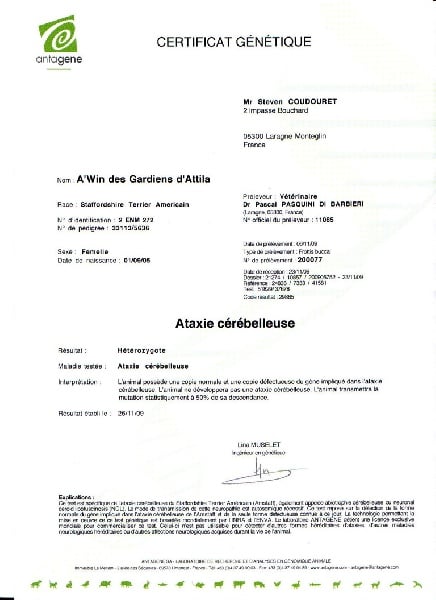 A'win Des Gardiens D'Attila