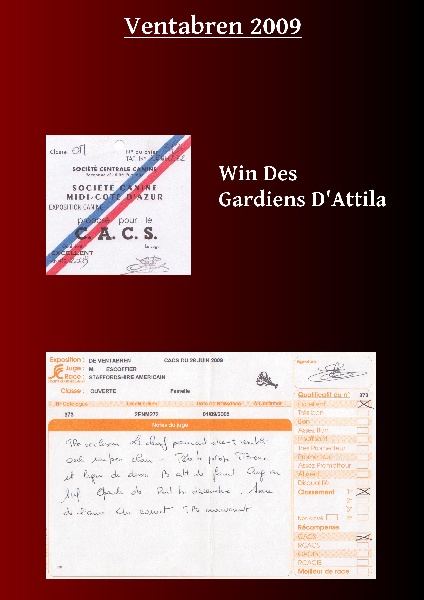 A'win Des Gardiens D'Attila