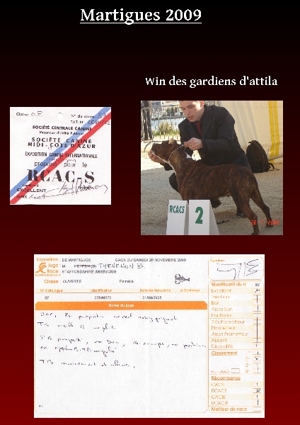A'win Des Gardiens D'Attila