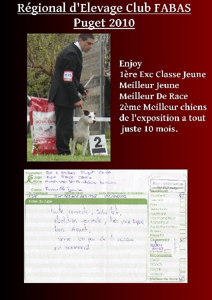 Enjoy (Sans Affixe)