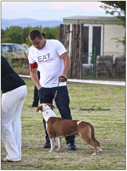 Gardfield De L'empreinte De L'espoir - 2ème Exc Classe Inter