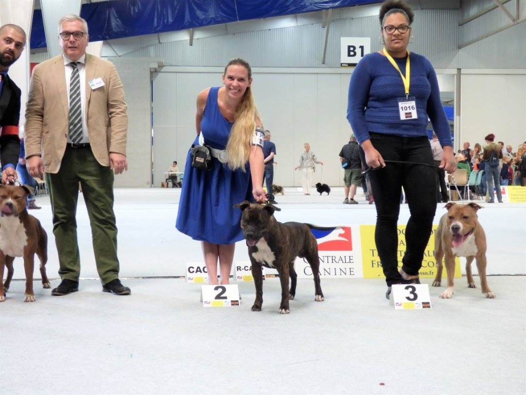 CH. Larry De L'empreinte De L'espoir - 2ème Exc classe ouverte