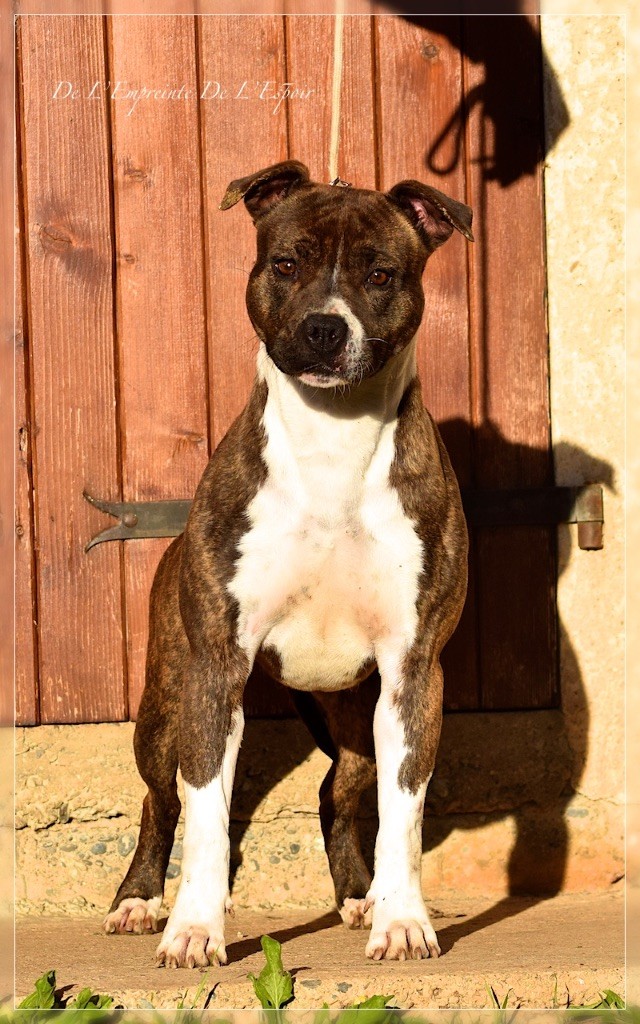 Suka De L'empreinte De L'espoir - 3eme Exc Classe Ouverte