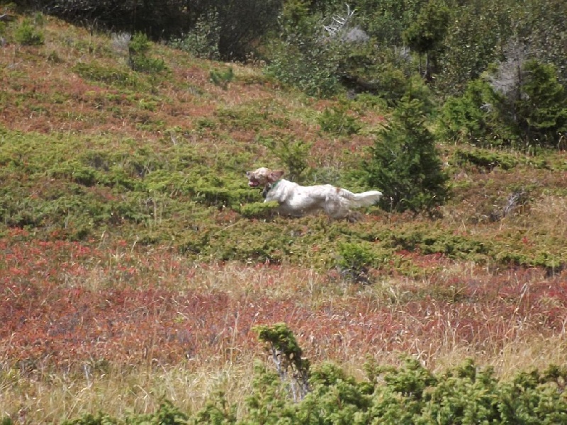 Publication : de Pierreluziere Auteur : Seb Guillemot