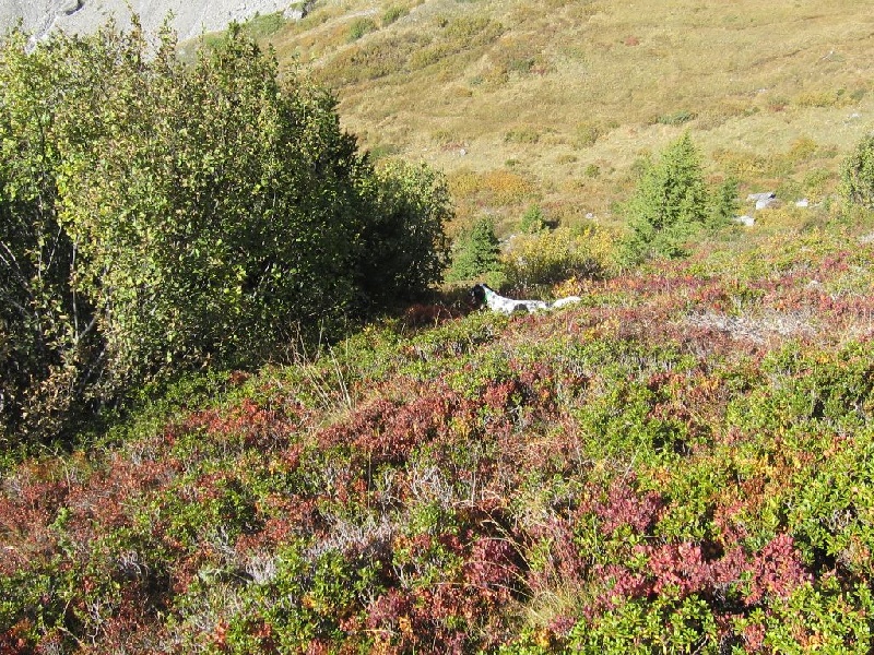 Publication : de Pierreluziere