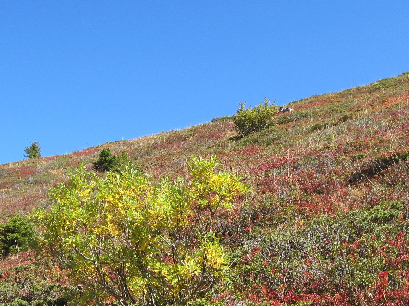 Publication : de Pierreluziere