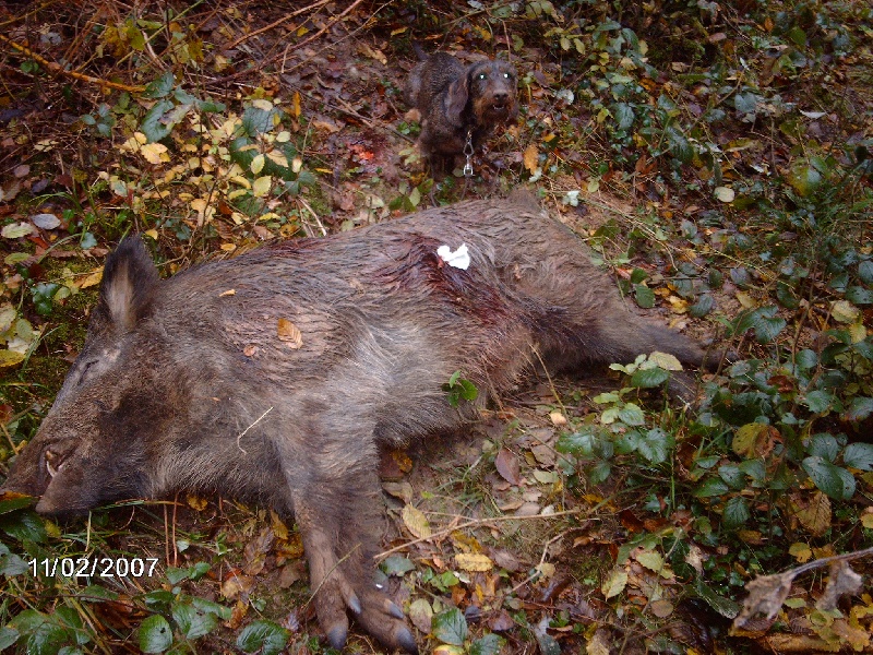 Publication : Du Vallon De Fontenay Auteur : ERIC SABARLY