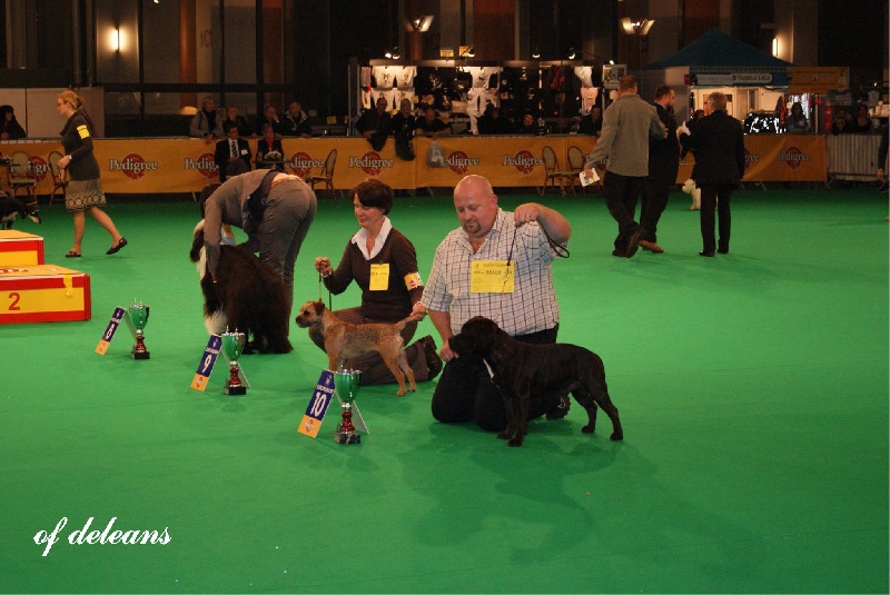 Publication : de La Pyramide Aux Joyaux Auteur : brunet