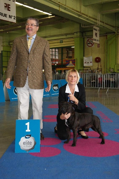 Publication : de La Pyramide Aux Joyaux Auteur : brunet