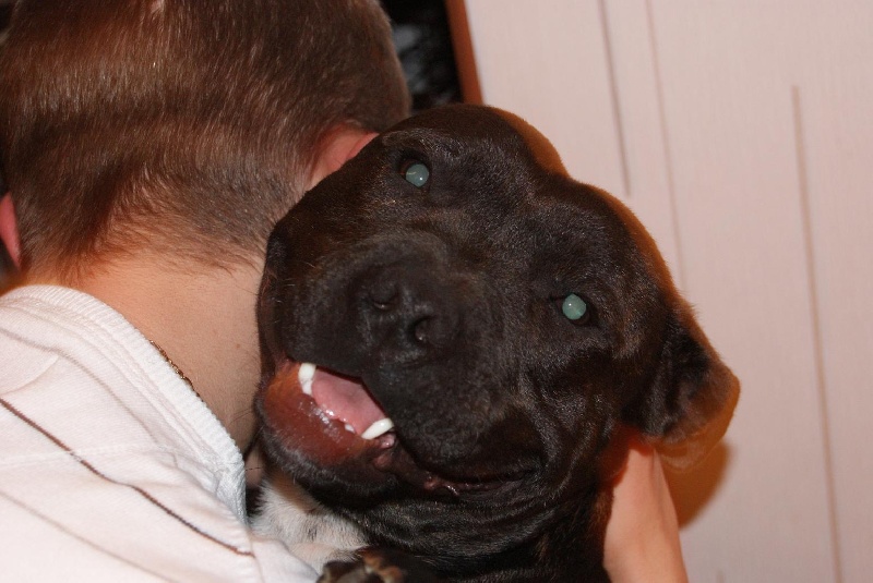 Publication : de La Pyramide Aux Joyaux Auteur : brunet