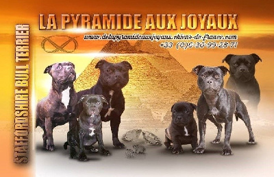 de La Pyramide Aux Joyaux