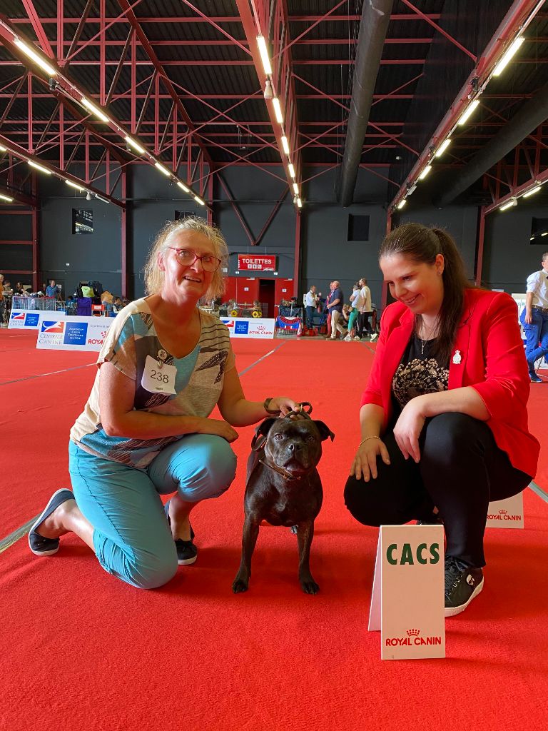 CH. Lovely lilow de La Pyramide Aux Joyaux - 1ex CACS en OF