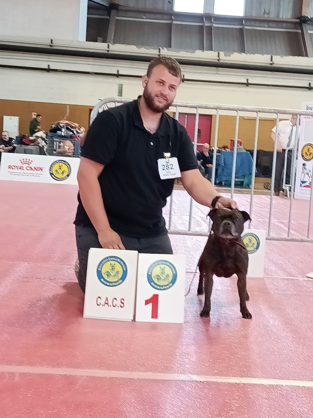 CH. Lovely pirate ilda de La Pyramide Aux Joyaux - 1 ex best veteran