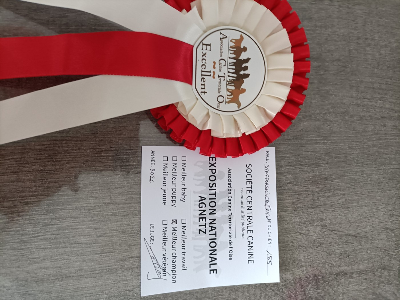 CH. Resca new generation de La Pyramide Aux Joyaux - 1 EX MEILLEUR CHAMPION