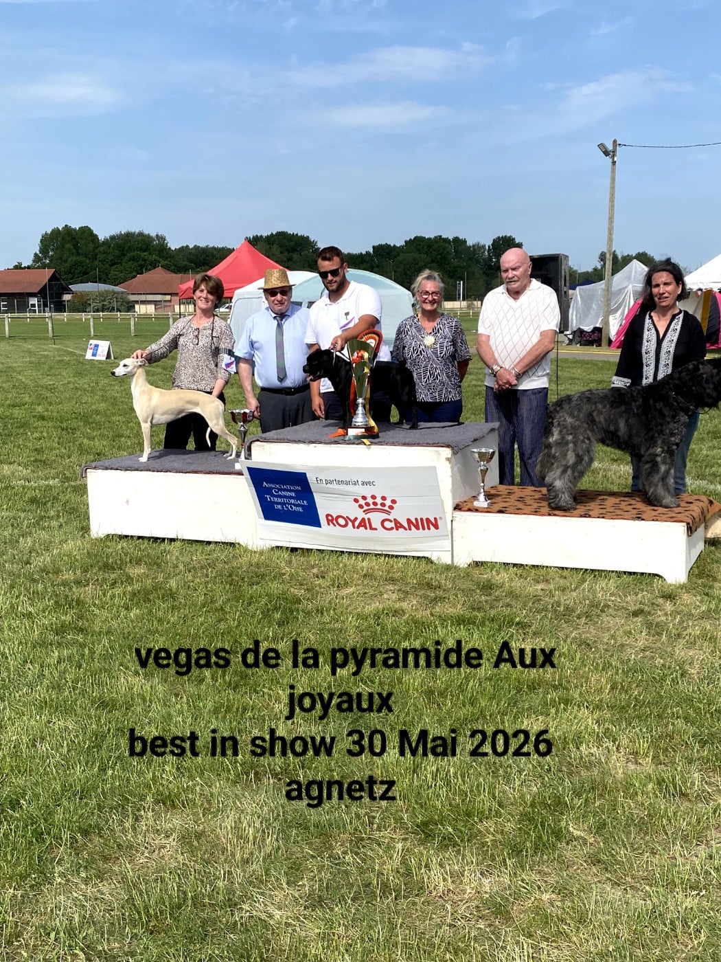 Vegas de La Pyramide Aux Joyaux - 1ex CACS BOB BOG ET BEST IN SHOW