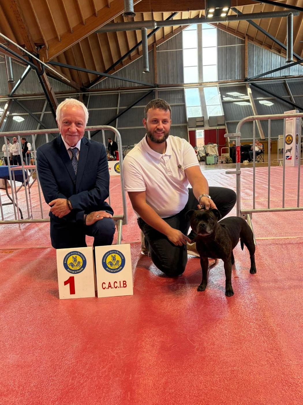 CH. Lovely pirate ilda de La Pyramide Aux Joyaux - 1 ex best veteran