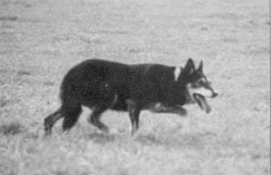 Publication : Seermangeer