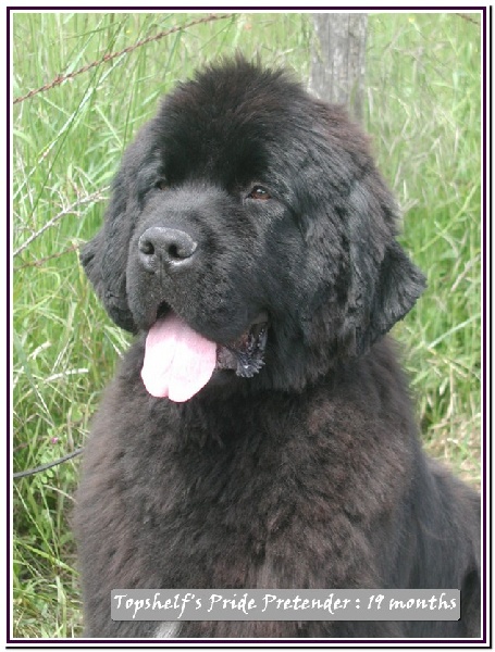 Publication : Mermaid's Pride Auteur : Mermaid's Pride