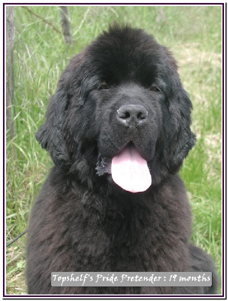 Publication : Mermaid's Pride Auteur : Mermaid's Pride