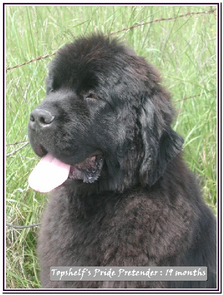 Publication : Mermaid's Pride Auteur : Mermaid's Pride