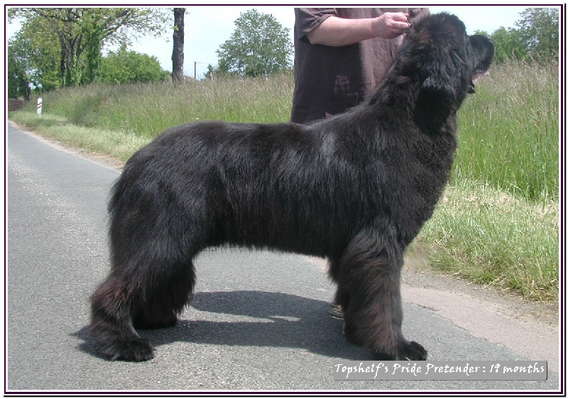 Publication : Mermaid's Pride Auteur : Mermaid's Pride