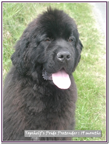 Publication : Mermaid's Pride Auteur : Mermaid's Pride