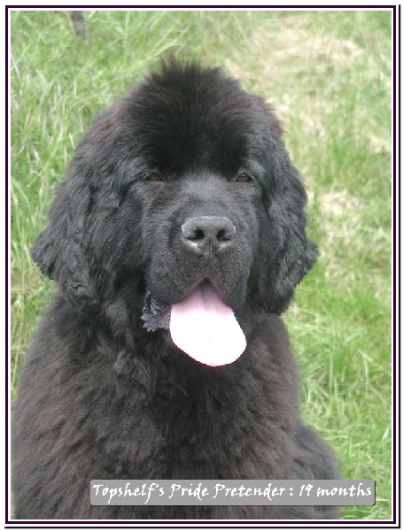 Publication : Mermaid's Pride Auteur : Mermaid's Pride