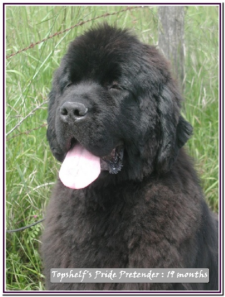 Publication : Mermaid's Pride Auteur : Mermaid's Pride