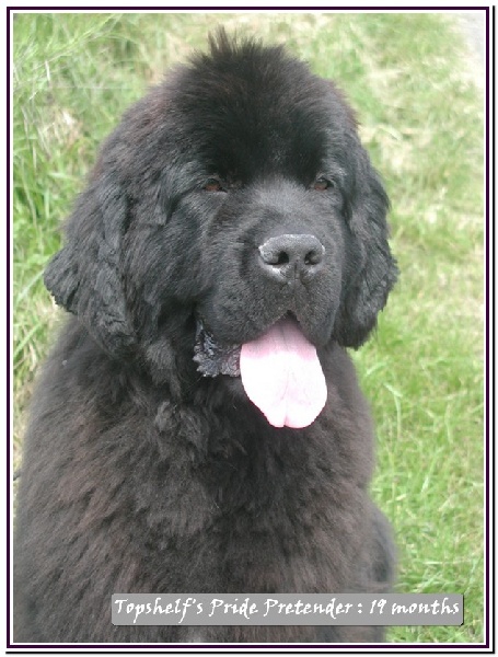 Publication : Mermaid's Pride Auteur : Mermaid's Pride