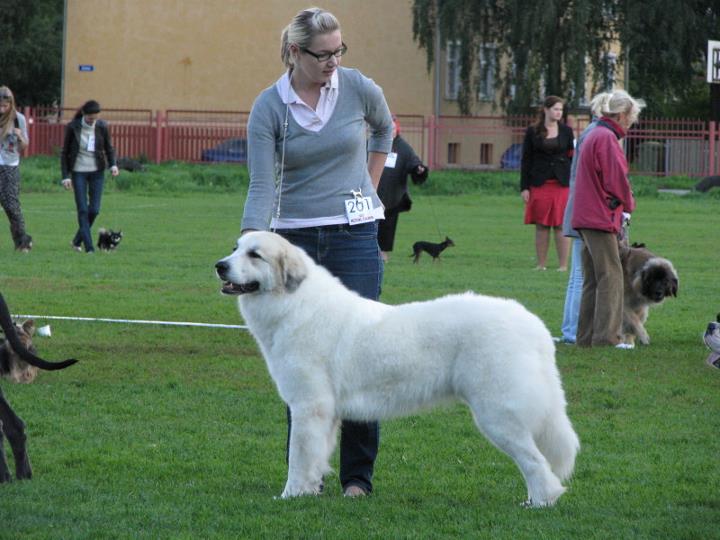 Publication : Echo De'chien