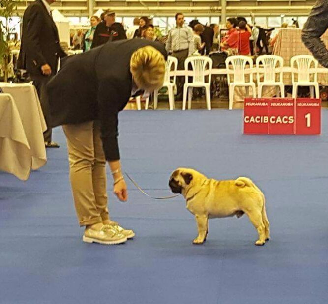 Publication : De La Schumeraie